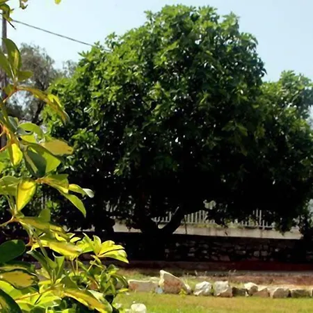 Apartman Damaskis Kasziópi