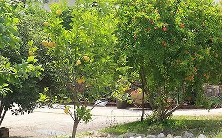 Apartament Damaskis