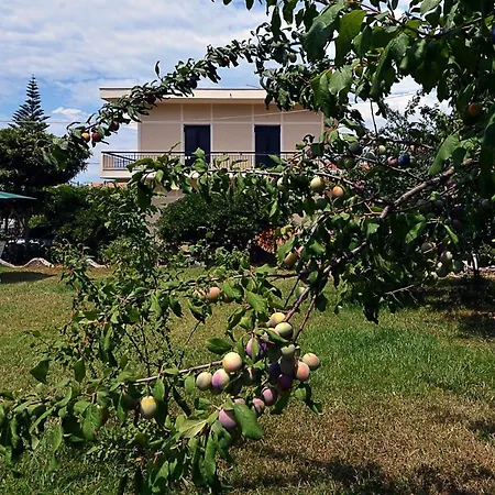 Damaskis Apartmán Kassiopi